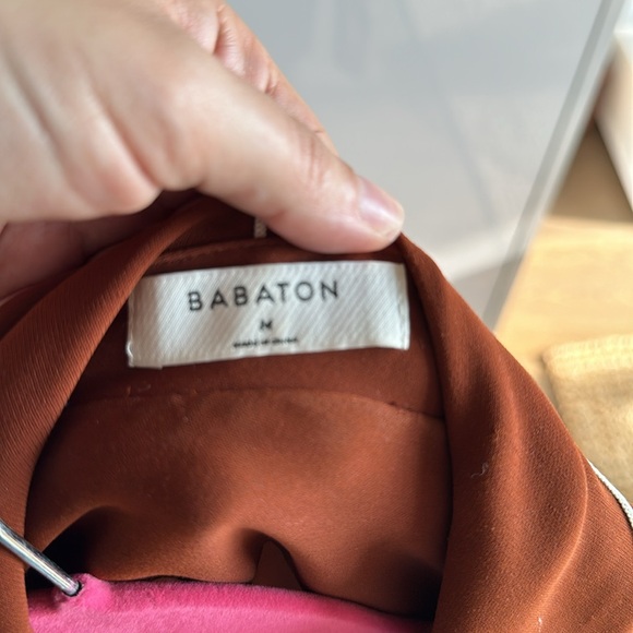 Babaton Blouse - Picture 5 of 7